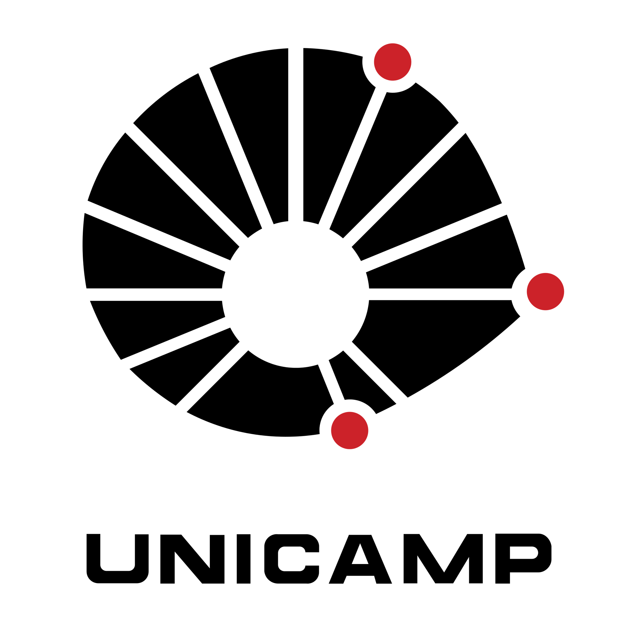unicamp-logo-png-transparent